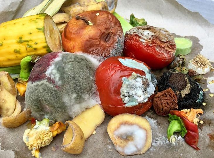 Продукты на грязном пищевом производстве, с плесенью